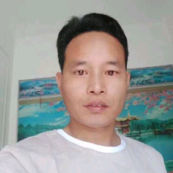 翩飞等于洛尘的照片