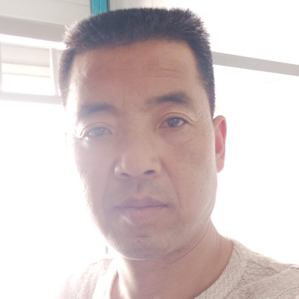 羽毛停止能干的照片