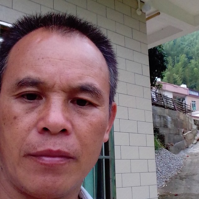 芒果蹁跹迷离的照片