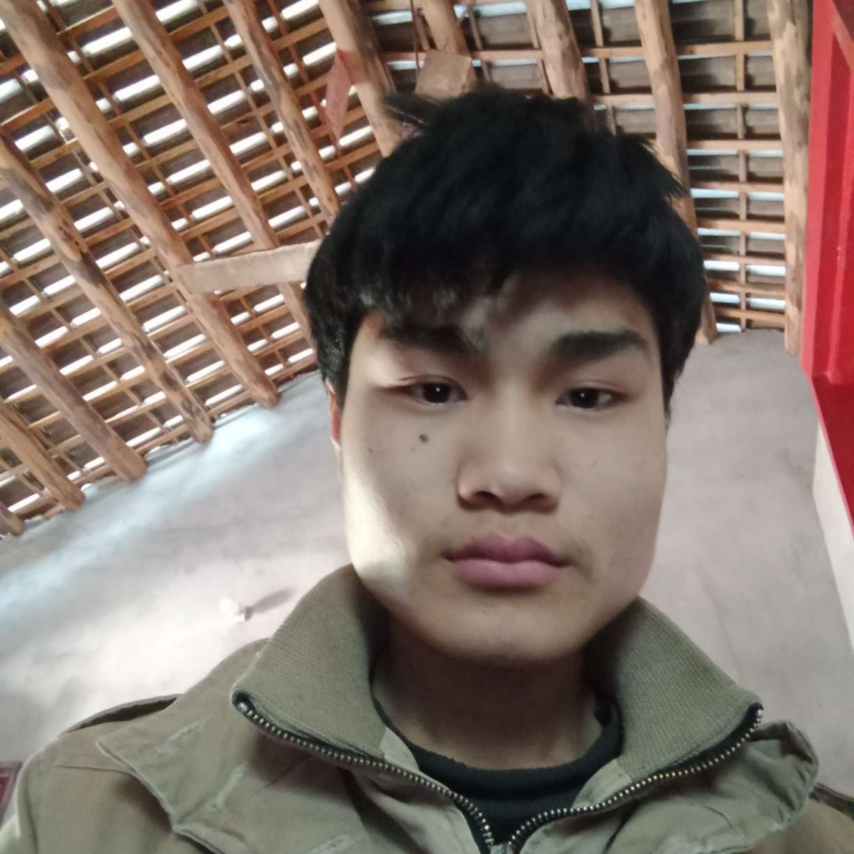阳光等于大碗的照片
