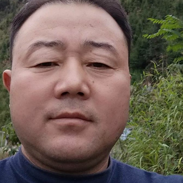 想春天的照片