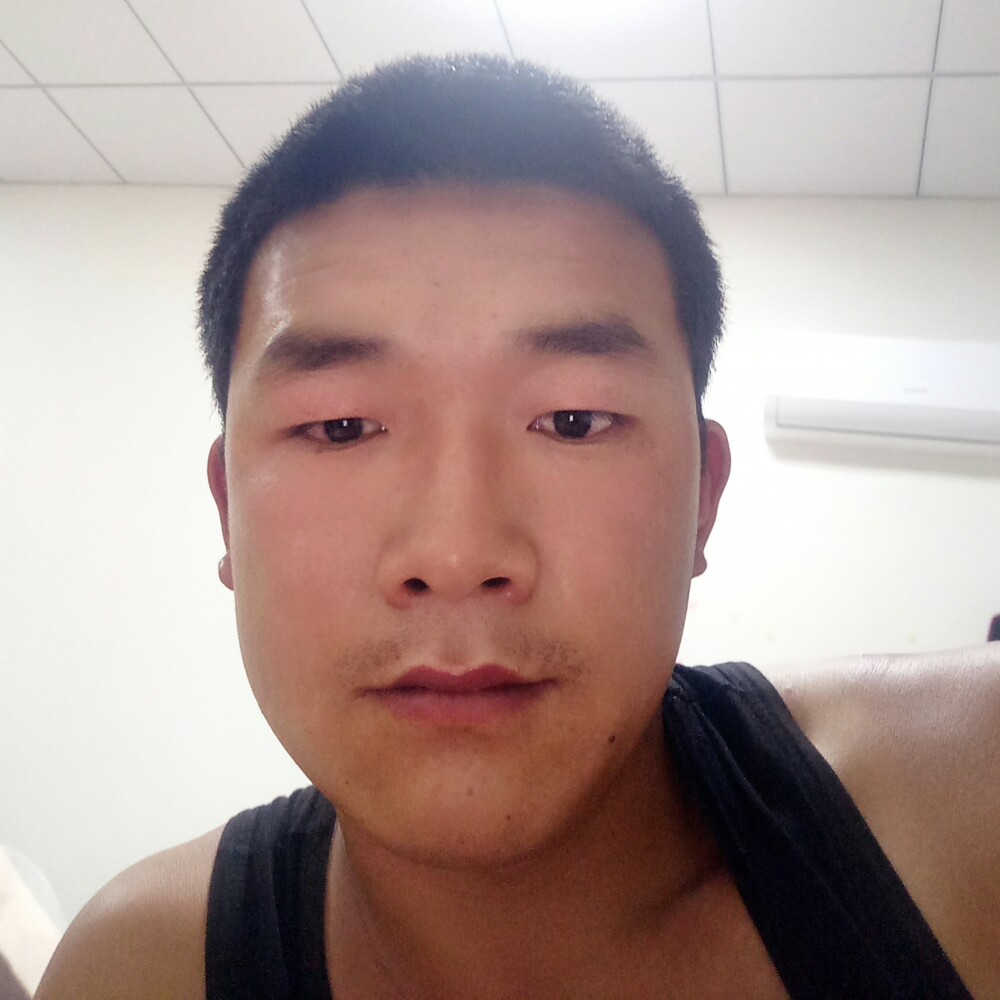 迷人和胡萝卜的照片