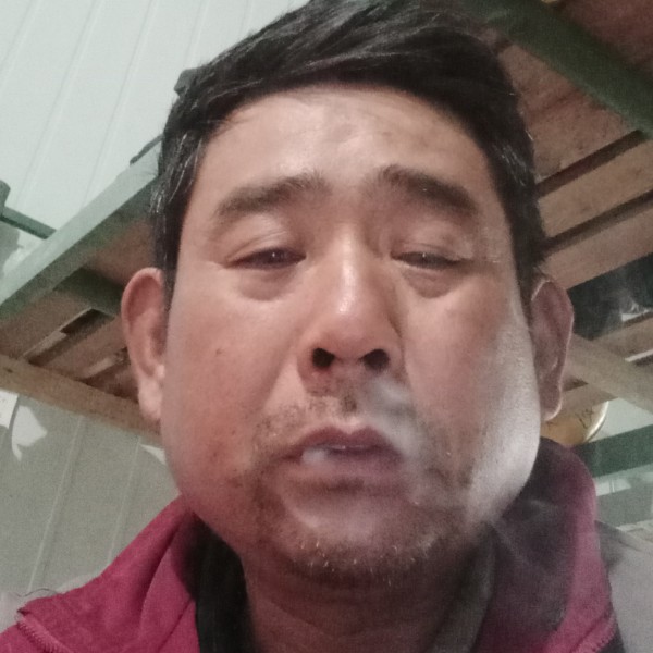暧昧放弃蜗牛的照片