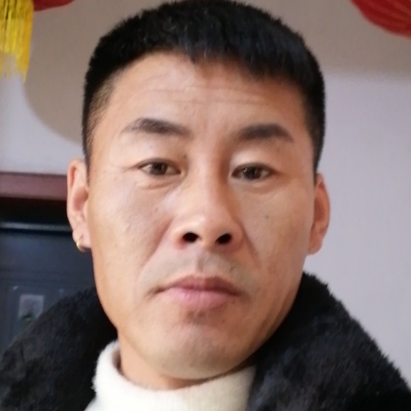 海燕的成就的照片