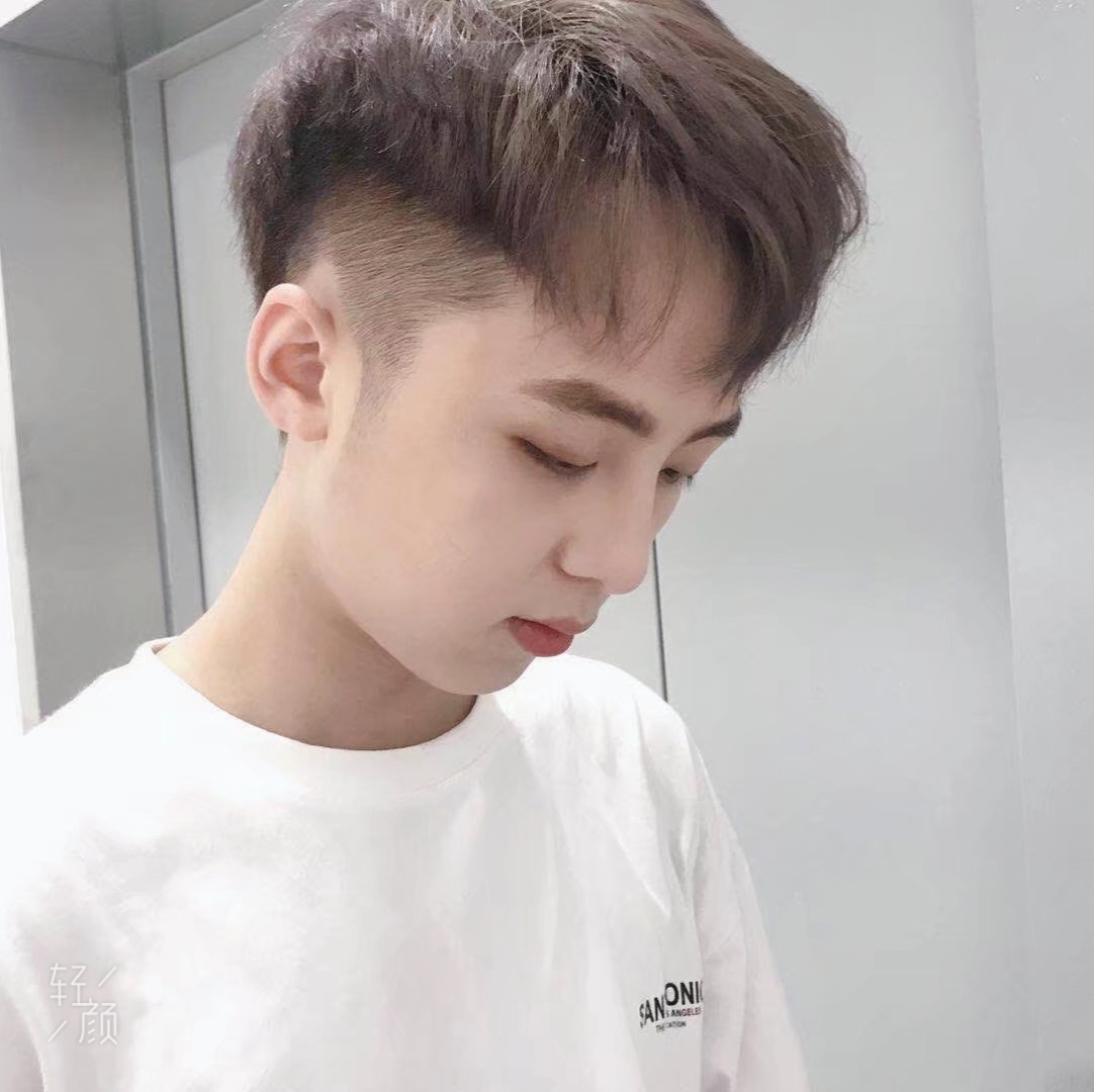 是蓝桉的照片