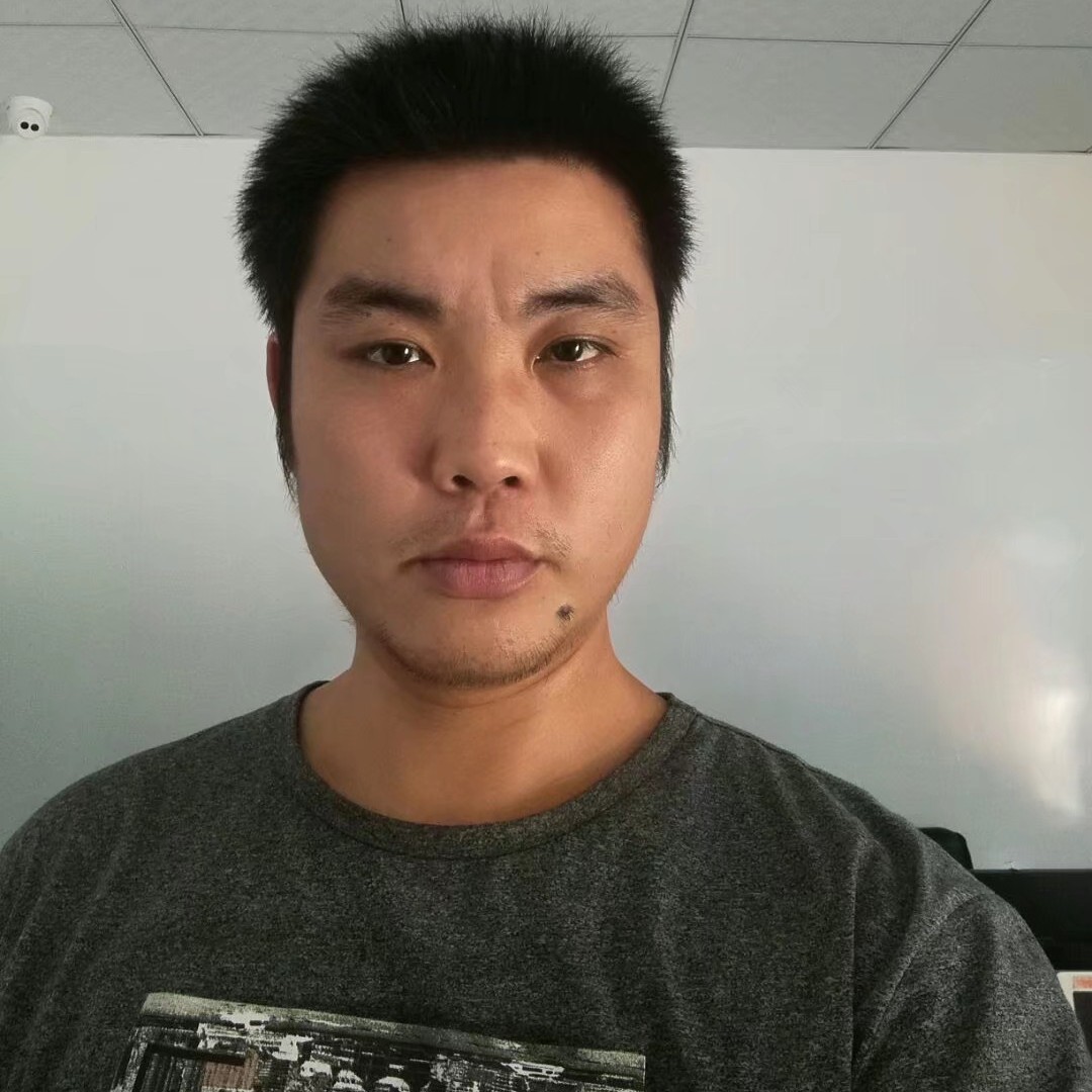 3只小花猪的照片