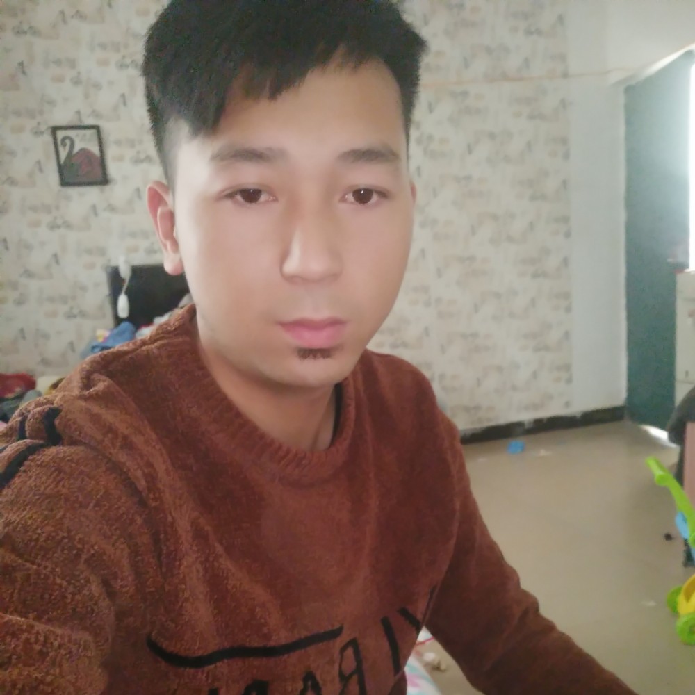 复杂说小懒猪的照片