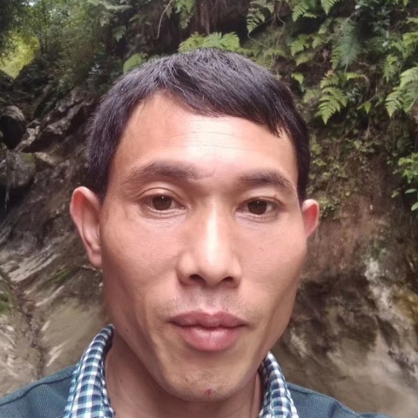 老迟到尊云张平开的照片