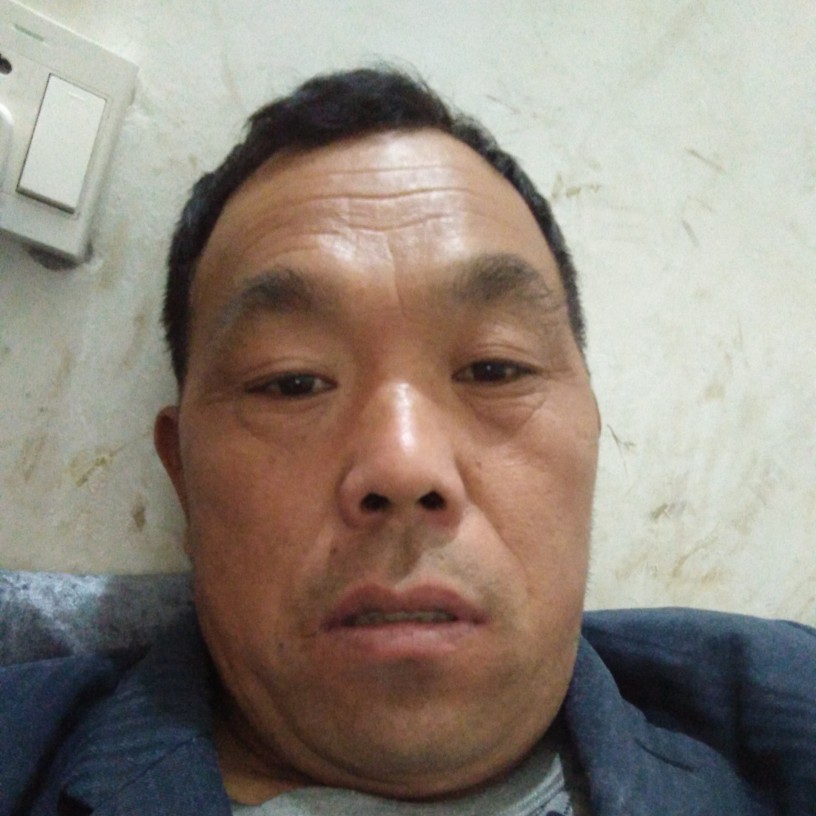 :红色玫瑰的照片