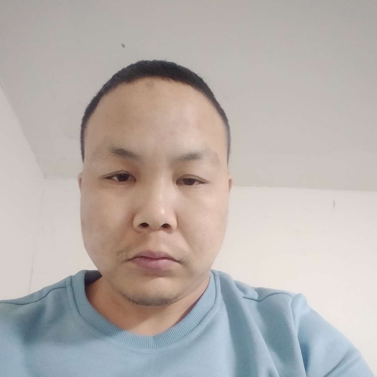 活泼漫步的照片