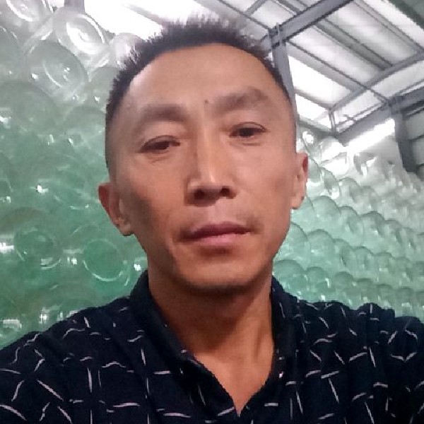 纸鹤回首幽默的照片