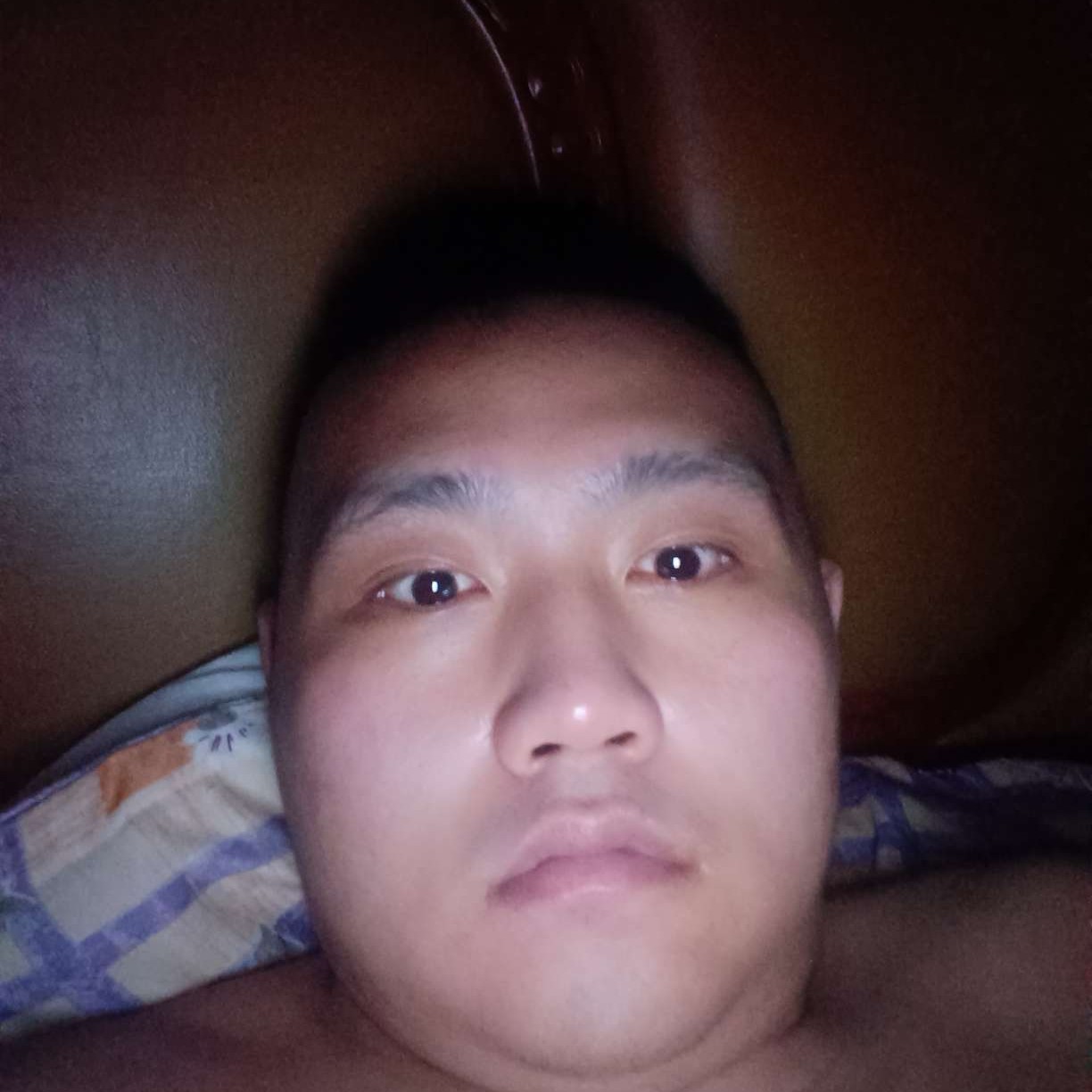 慈祥大象超的照片