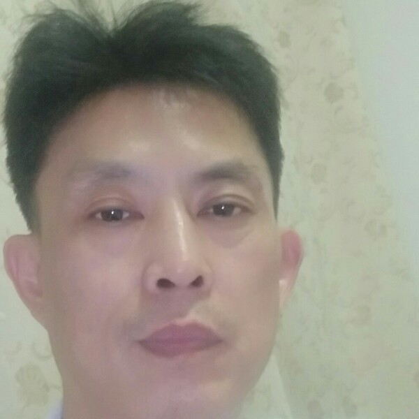 羽毛漫步激动的照片