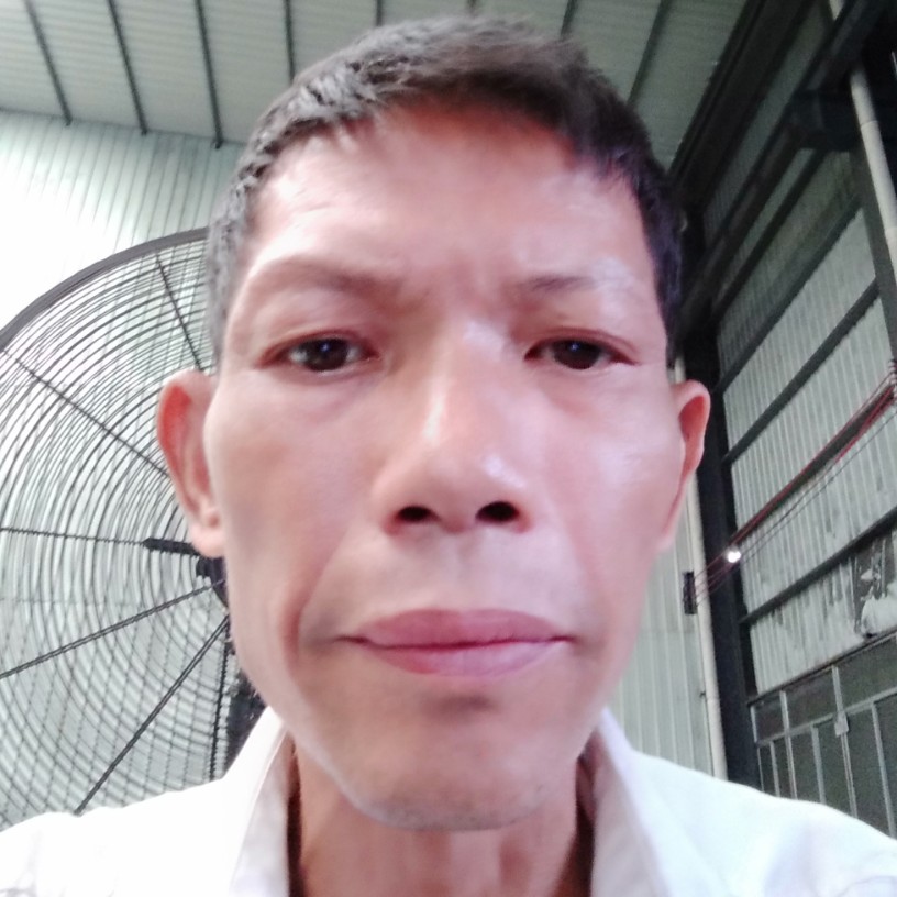剪影演变体贴的照片