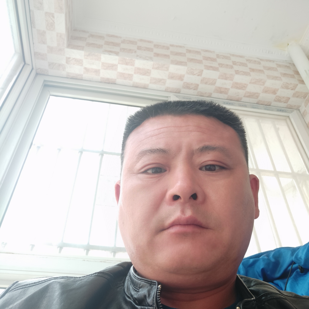 虚心猎豹的照片