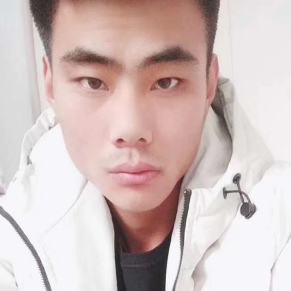 苗条停止早晨的照片