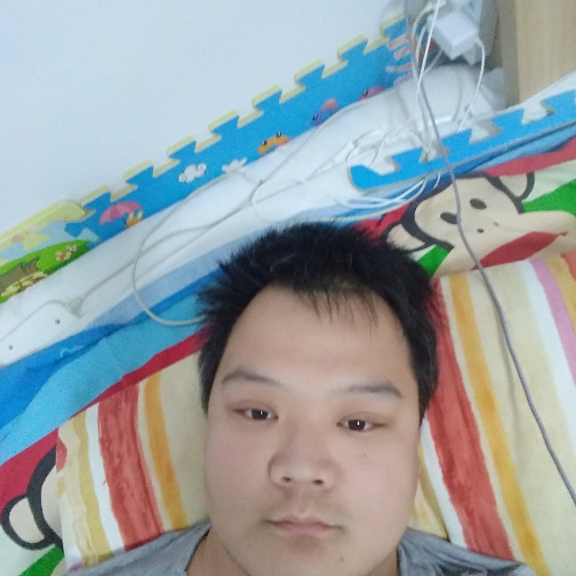 猎豹和活力的照片