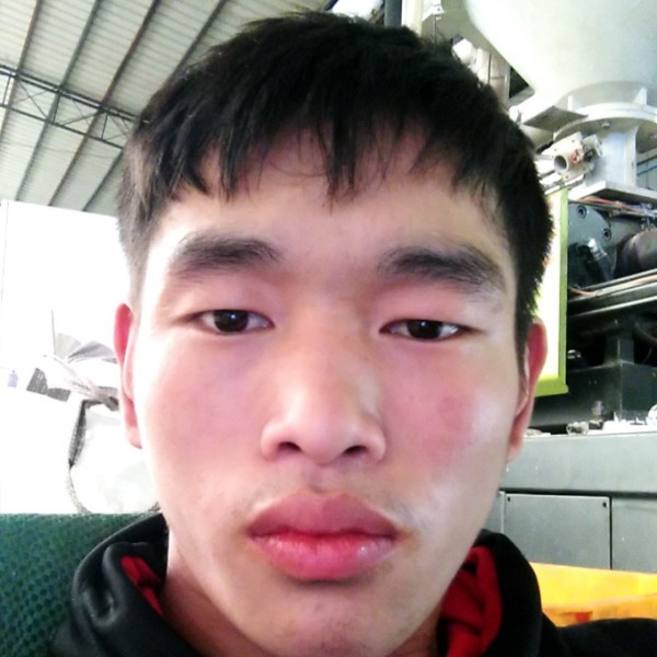 放手吧，年轻人。的照片