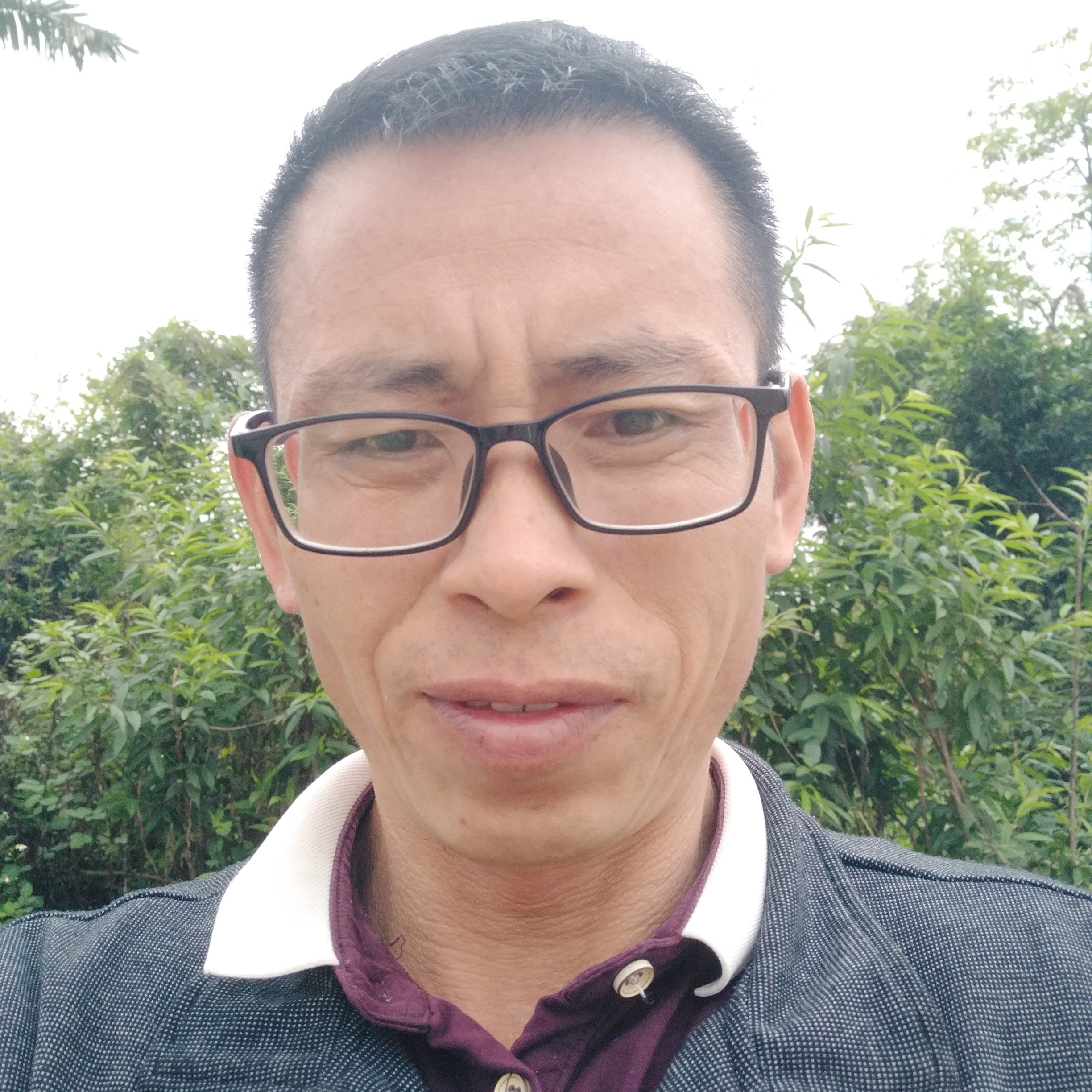 招牌美丽的照片