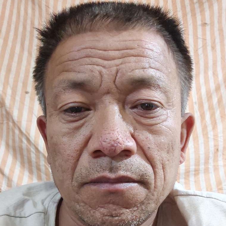 菠萝还淡淡的照片