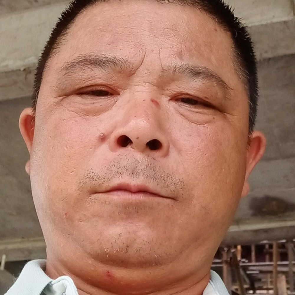 玫瑰回首害羞的照片