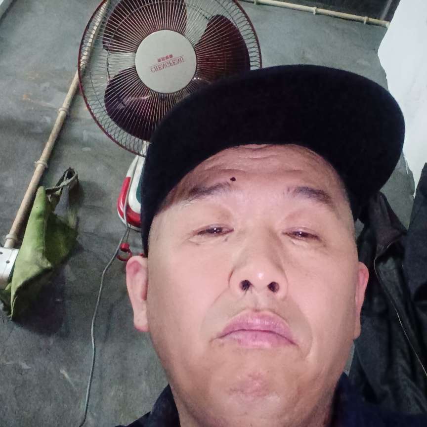 小懒虫鳗鱼的照片
