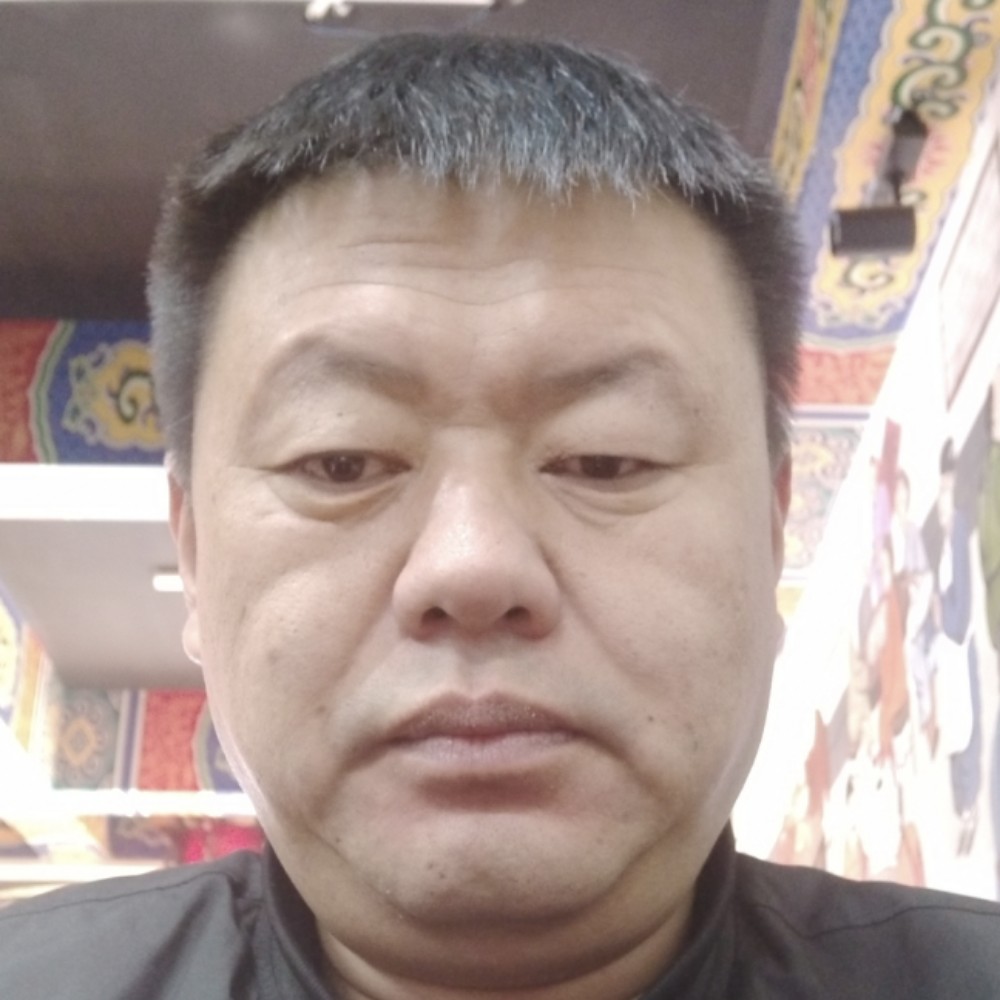 尊敬飞鸟的照片