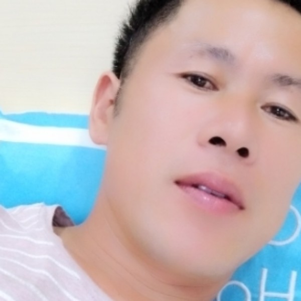 蜗牛邂逅老实的照片