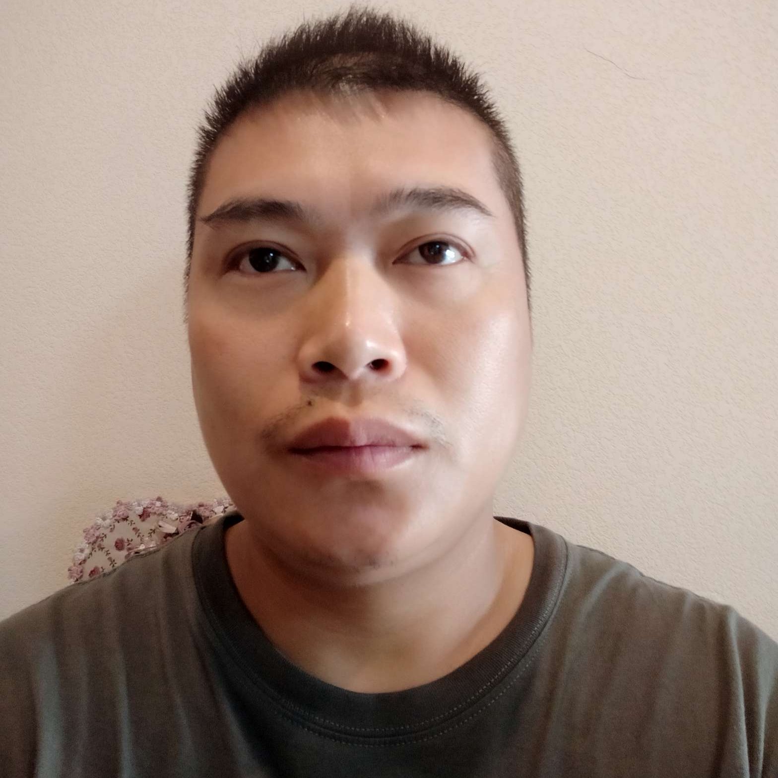 竹影当窗的照片