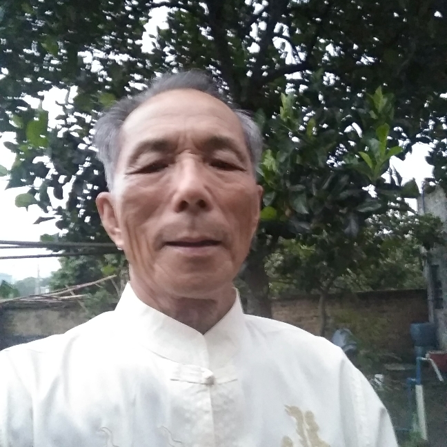 棉花糖端庄的照片