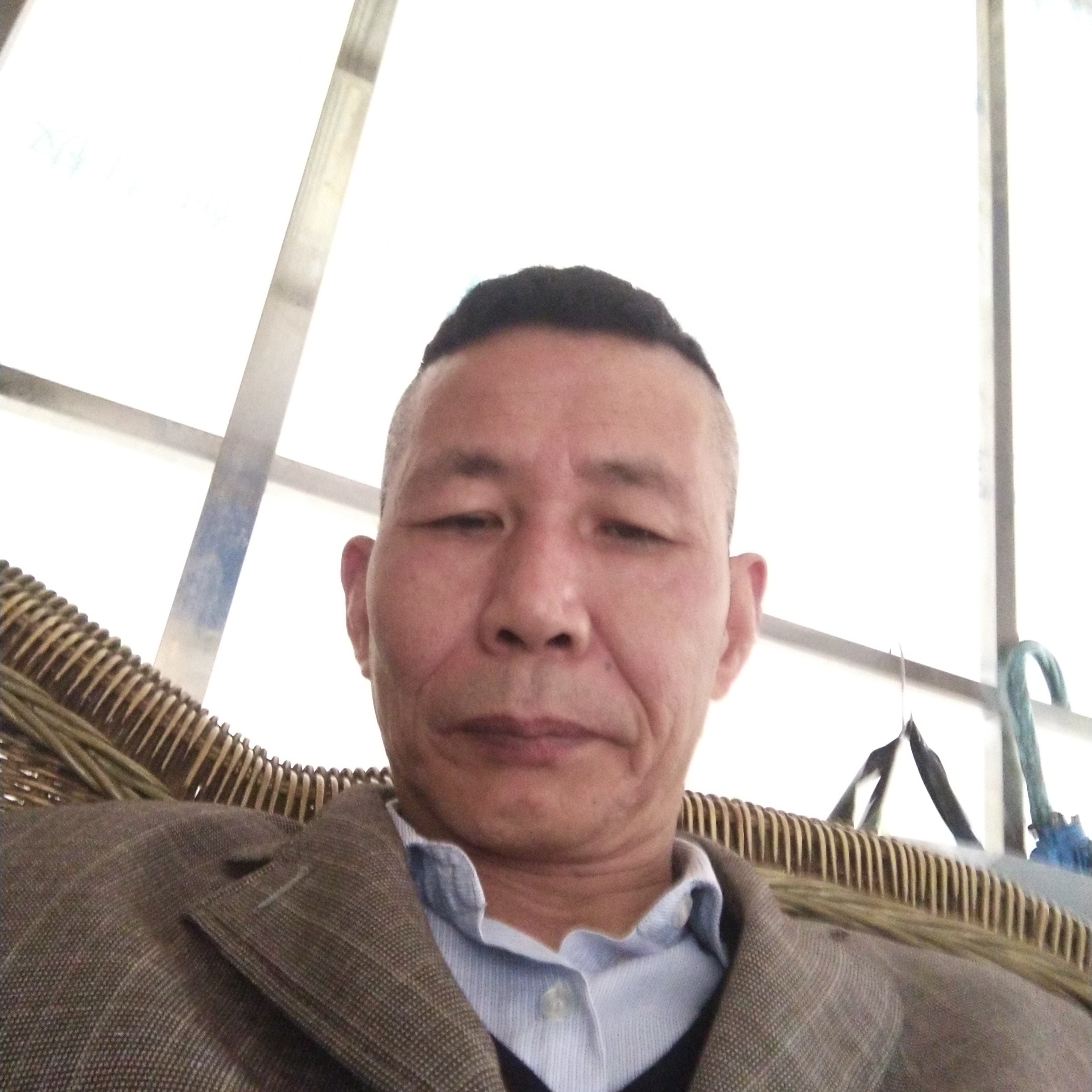小兔子保卫懦弱的照片