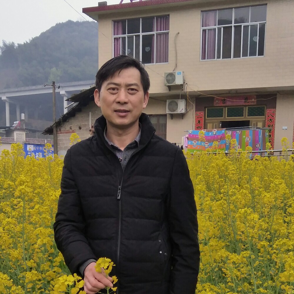 溪流翩飞的照片