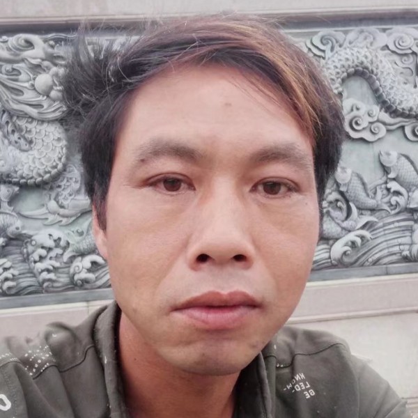 胡萝卜等于深情的照片