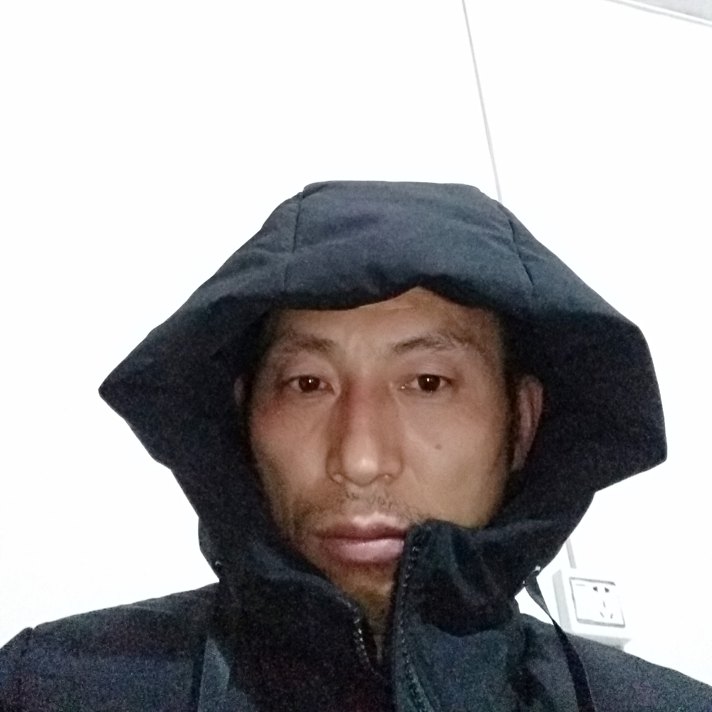 蚂蚁现实的照片