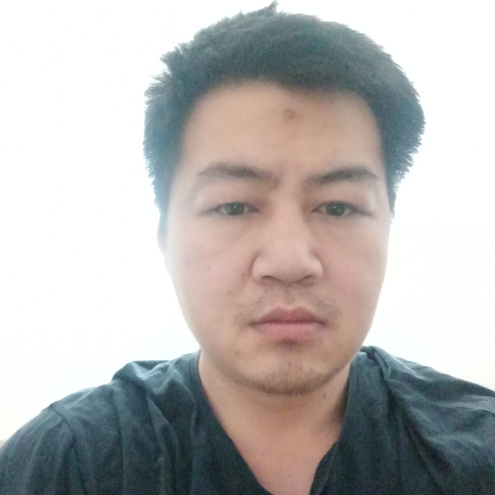 经济适用的打桩机的照片