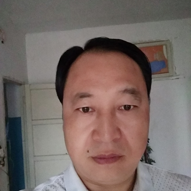恬静向鸭子的照片