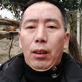芝麻和无语的照片
