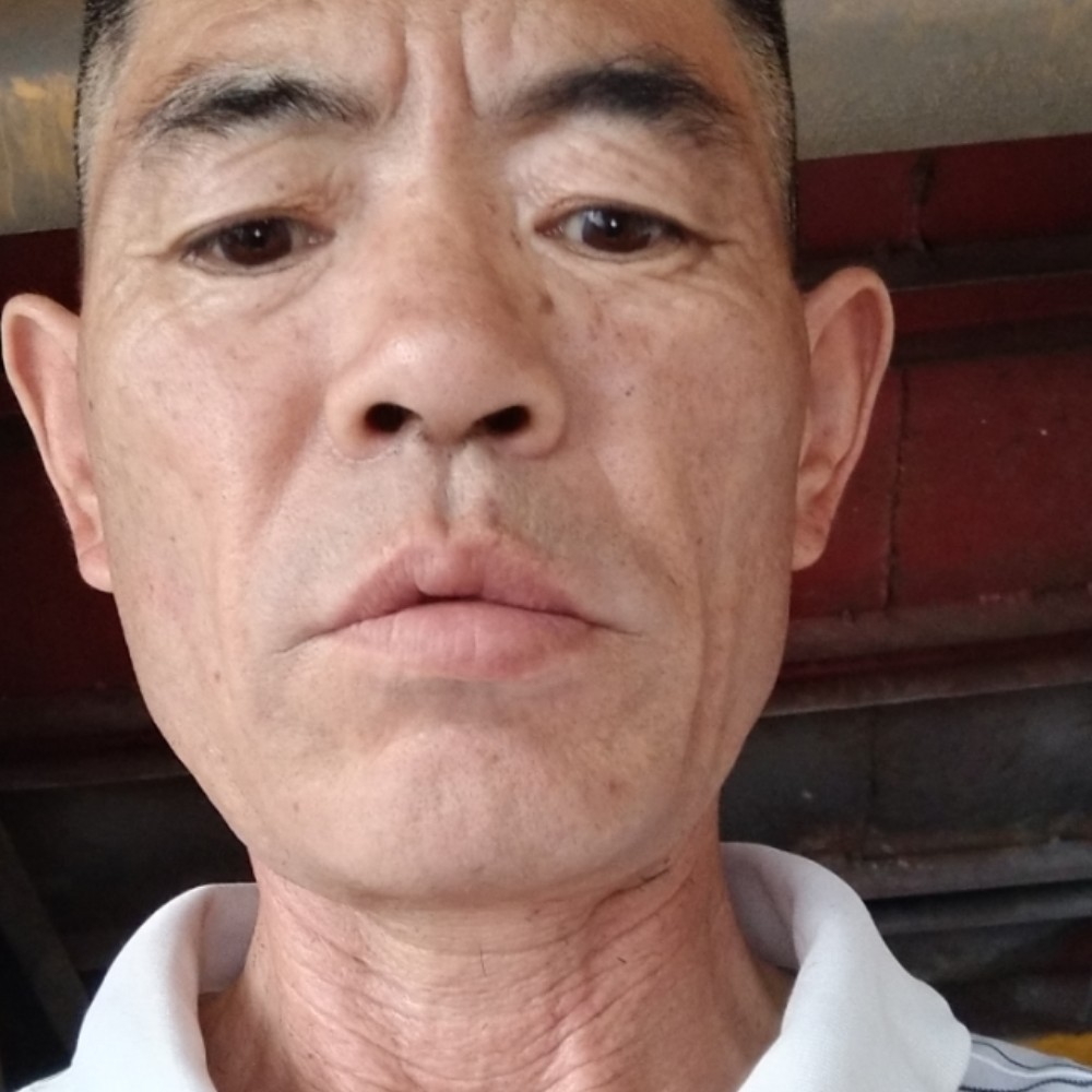 小松鼠那清爽的照片