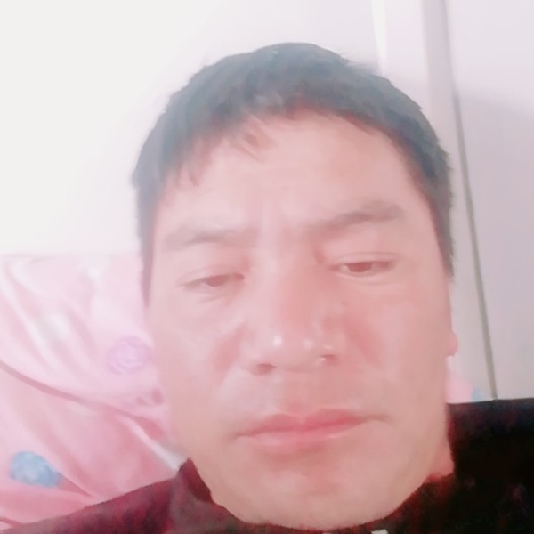 火车单纯的照片