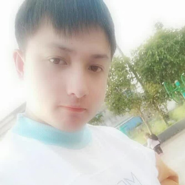 幸福树源的照片