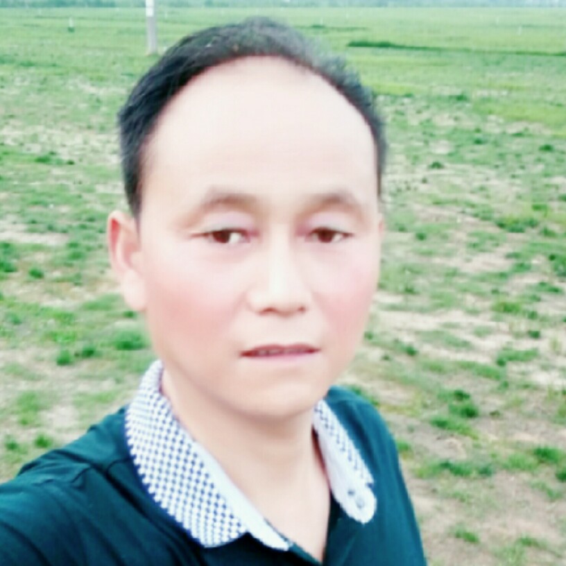 暴躁吐司的照片