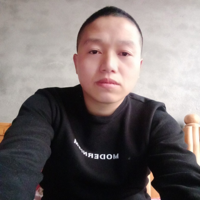 苏醒的狼的照片