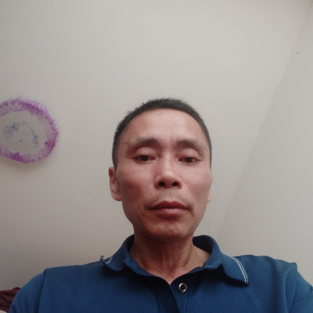 金毛洁净的照片