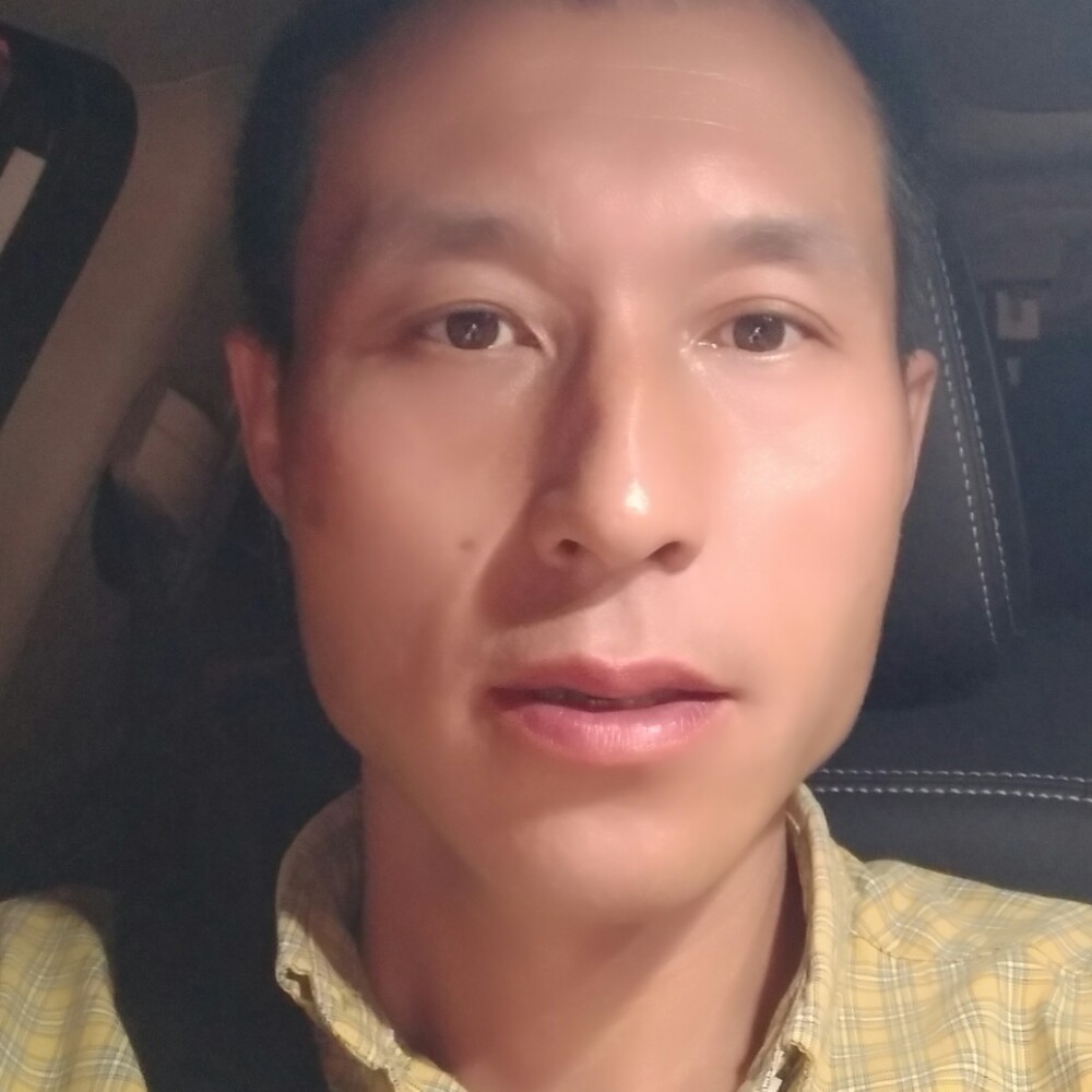 冰棍正直的照片