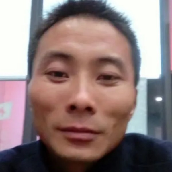 战斗机回首纯情的照片