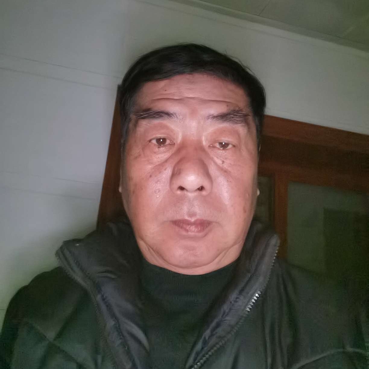 枫叶拾忆现代的照片