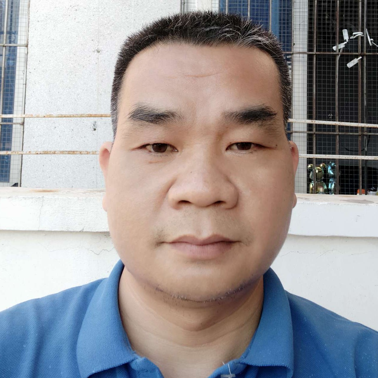 光辉岁月的照片