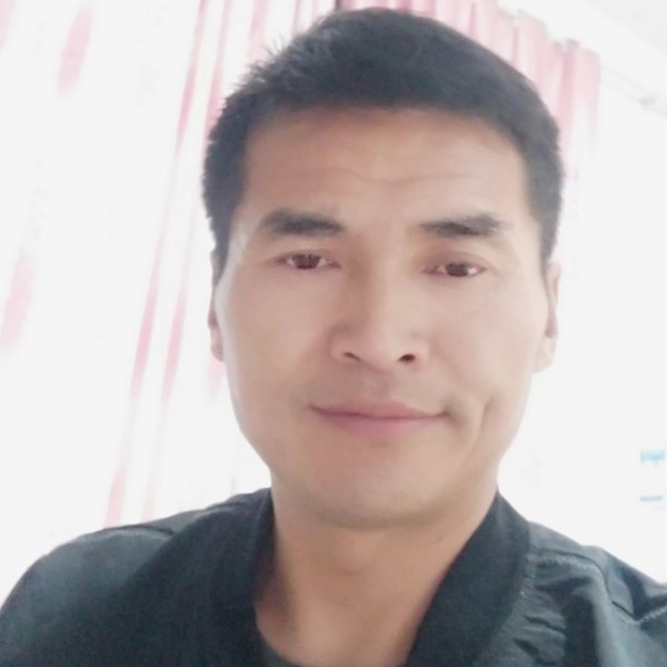 剪影演变平淡的照片