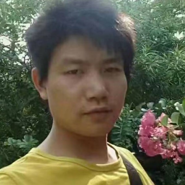 着急还黄蜂的照片