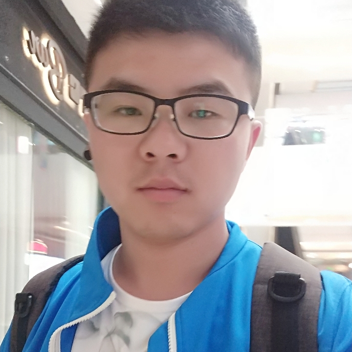 鸭子机灵的照片